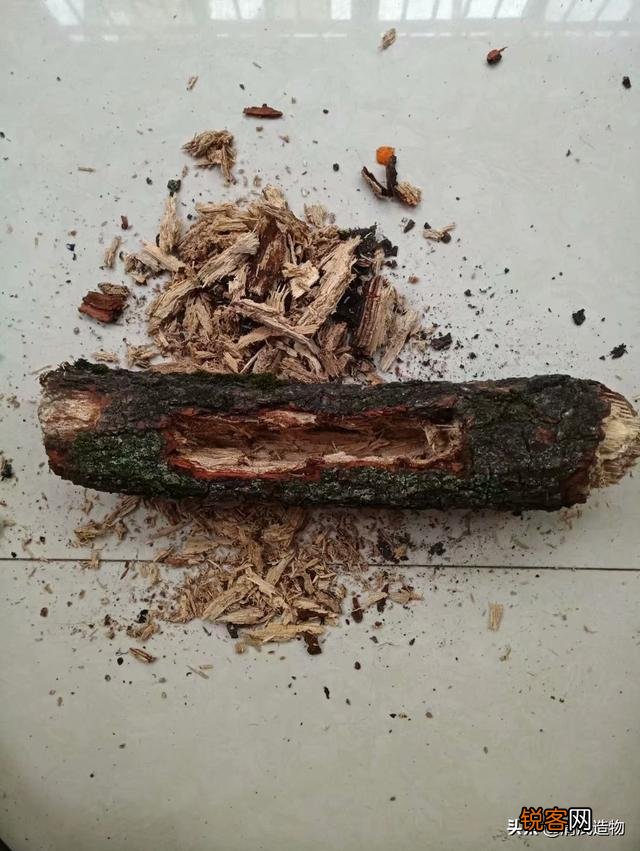 废旧物品应该怎么利用？