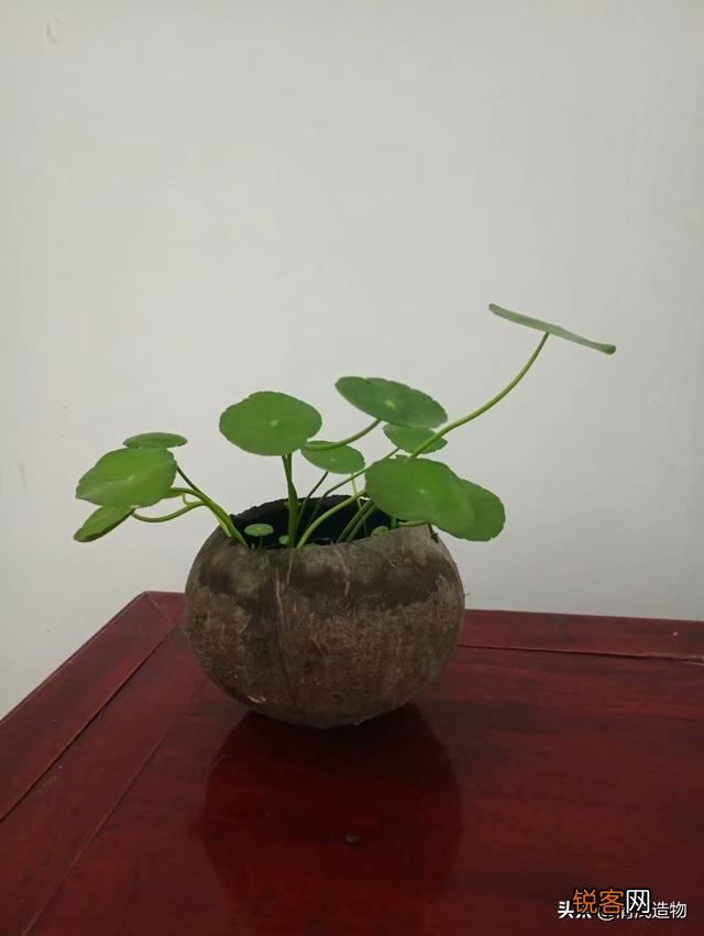 废旧物品应该怎么利用？