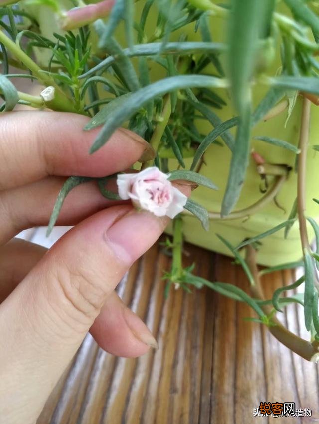 废旧物品应该怎么利用？