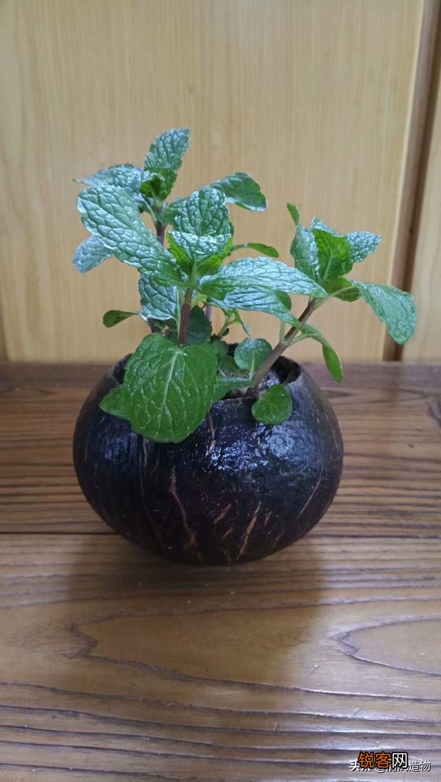 废旧物品应该怎么利用？