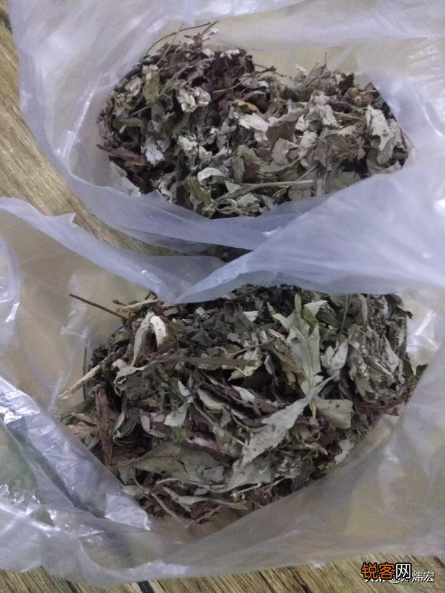 你有什么独家驱蚊方法吗？