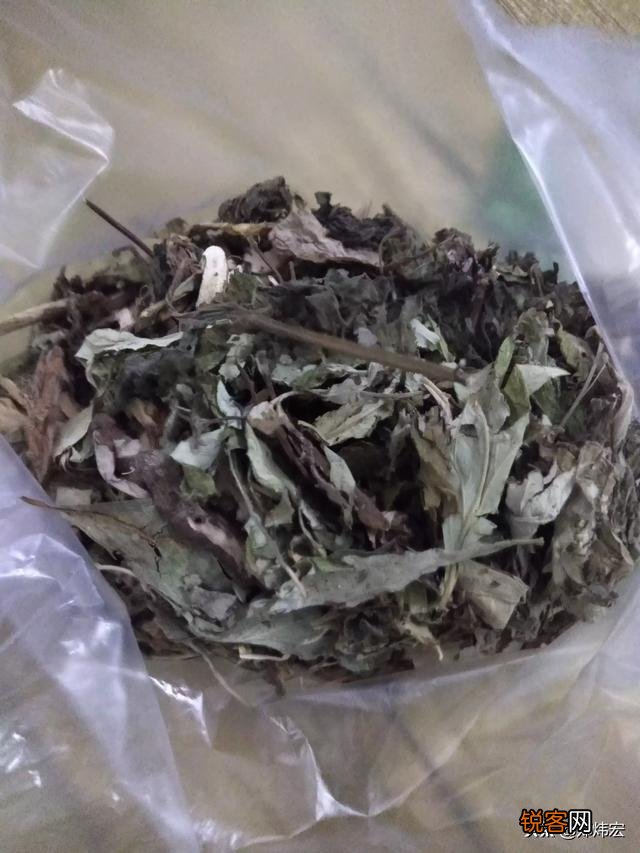你有什么独家驱蚊方法吗？