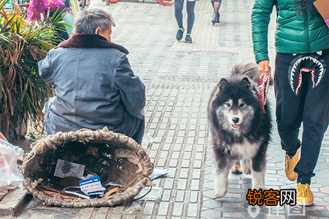 老人有退休金还要给赡养费吗现在 老人有退休金还要给赡养费吗