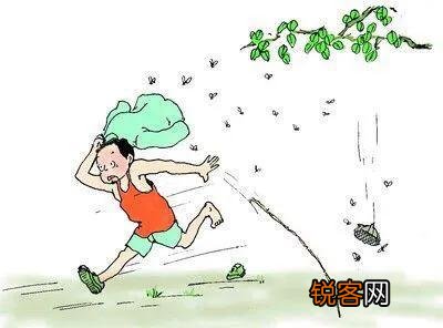 还记得小时候在农村屋檐下捅蜂窝,被蜜蜂蛰了的后果吗？