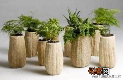 农村常见的丝瓜瓤子,过去农民用来洗碗,如今还有啥妙用你知道吗？