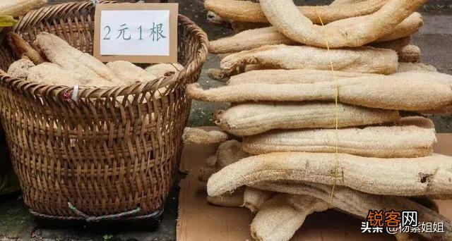 农村常见的丝瓜瓤子,过去农民用来洗碗,如今还有啥妙用你知道吗?