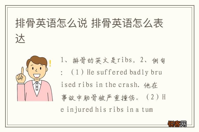 排骨英语怎么说 排骨英语怎么表达