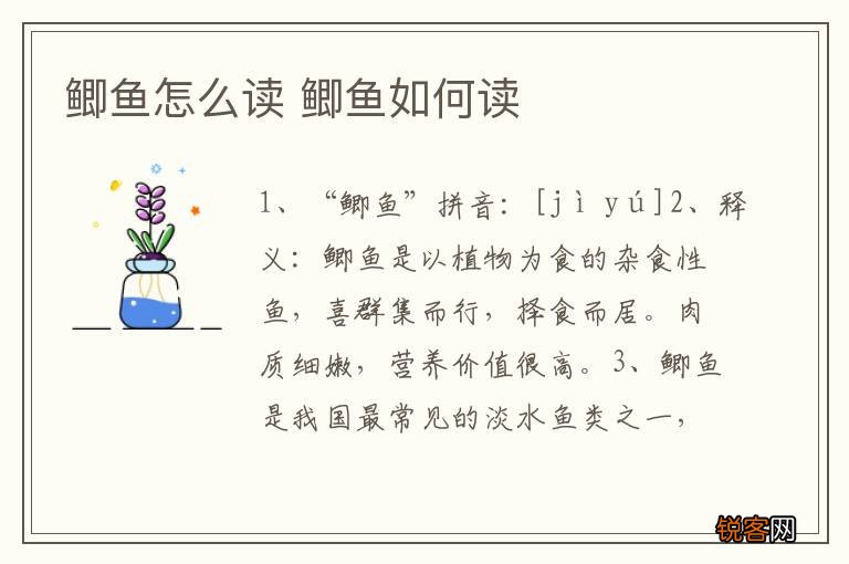 鲫鱼怎么读 鲫鱼如何读