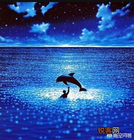 你觉得你看过最好看10部电影是什么？