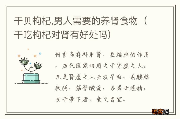干吃枸杞对肾有好处吗 干贝枸杞,男人需要的养肾食物