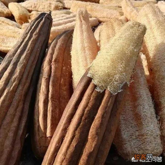 有哪些好用到让你想流泪的厨房神器？