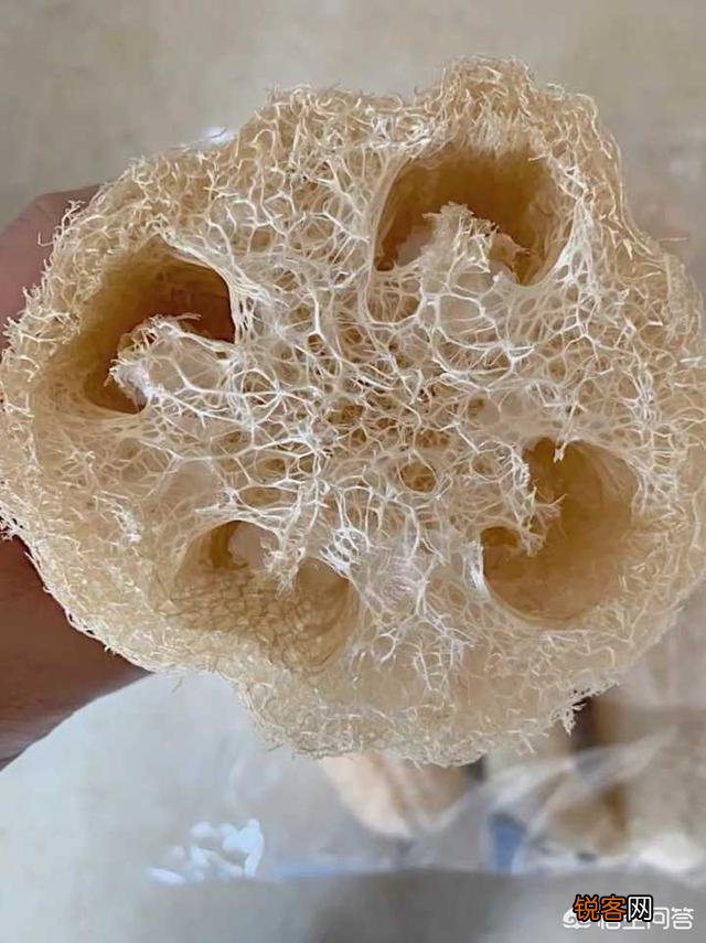 有哪些好用到让你想流泪的厨房神器？