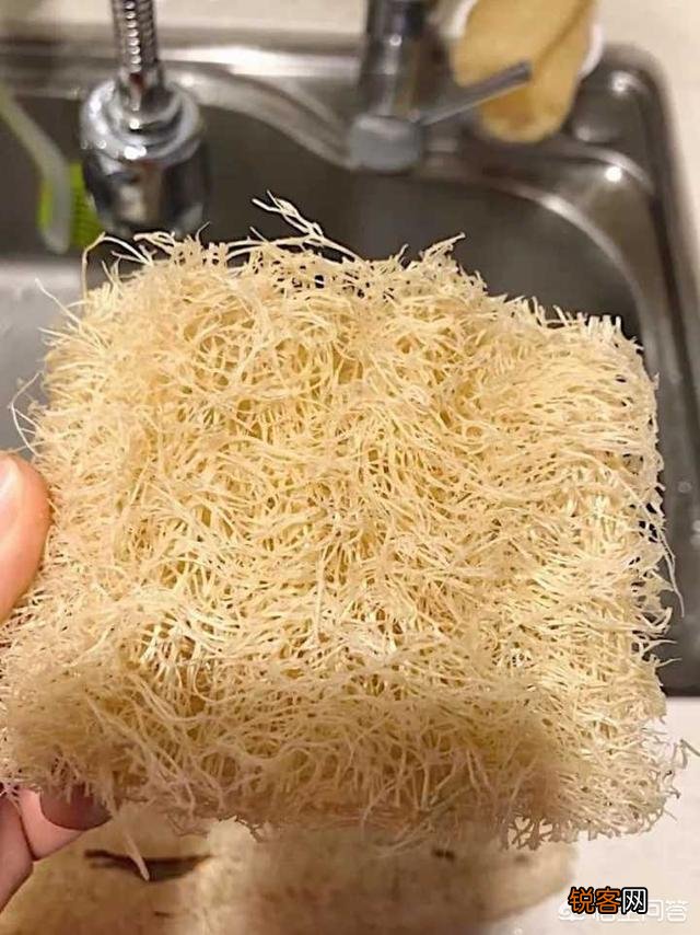 有哪些好用到让你想流泪的厨房神器？