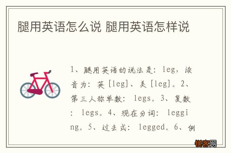 腿用英语怎么说 腿用英语怎样说