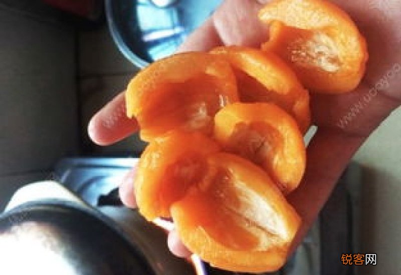 枇杷与蜂蜜一起喝吗？枇杷蜂蜜的作用与功效