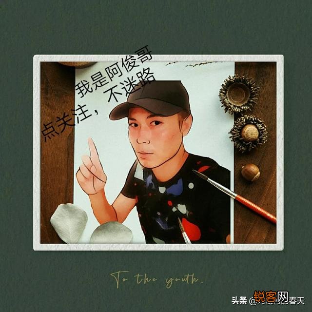 葱兰,观赏价值高,盆栽要如何管理？