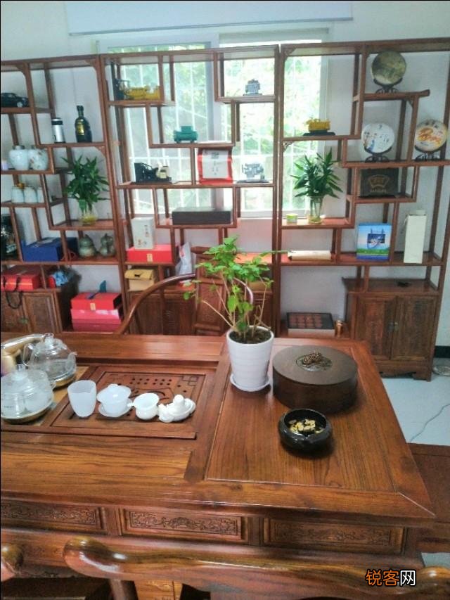 有哪些植物适合家里养？