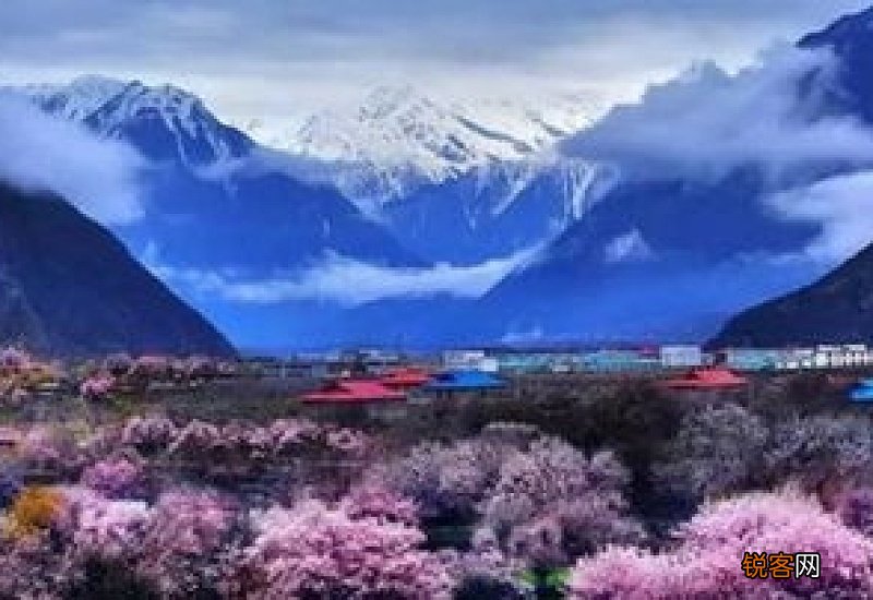 林芝最低社保交多少钱一个月 2023年林芝个人社保缴费标准