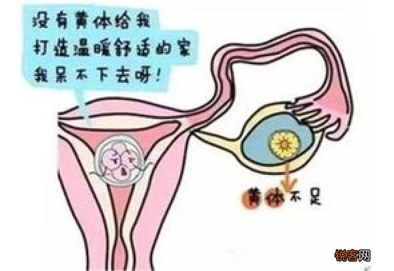 黄体功能不足的症状 黄体功能不足怎么调理？
