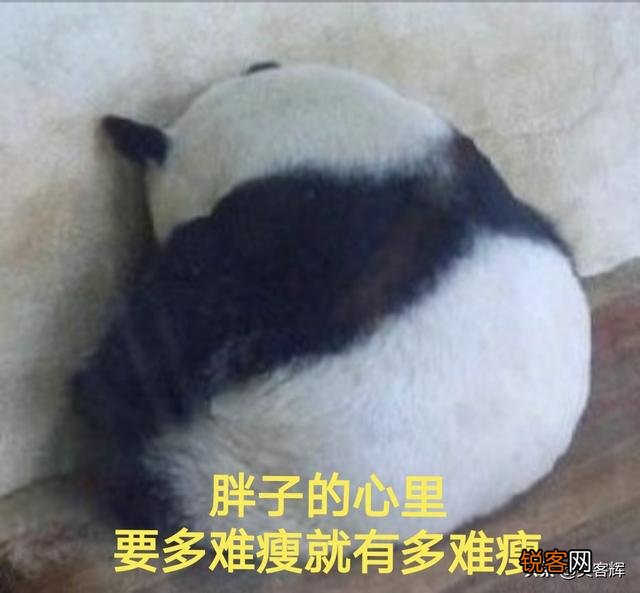 可以给我讲个笑话吗,谢谢？