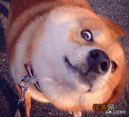 可以给我讲个笑话吗,谢谢？
