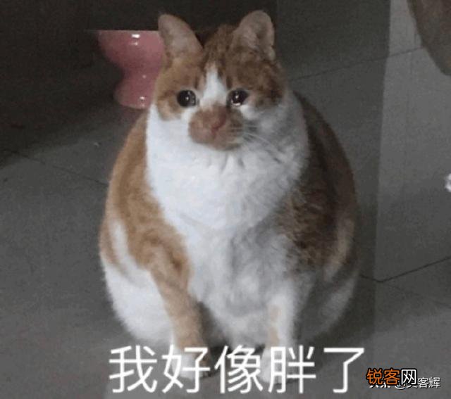 可以给我讲个笑话吗,谢谢？