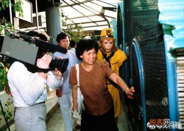 六小龄童微博晒图怀念杨洁导演,为何称其为恩师？
