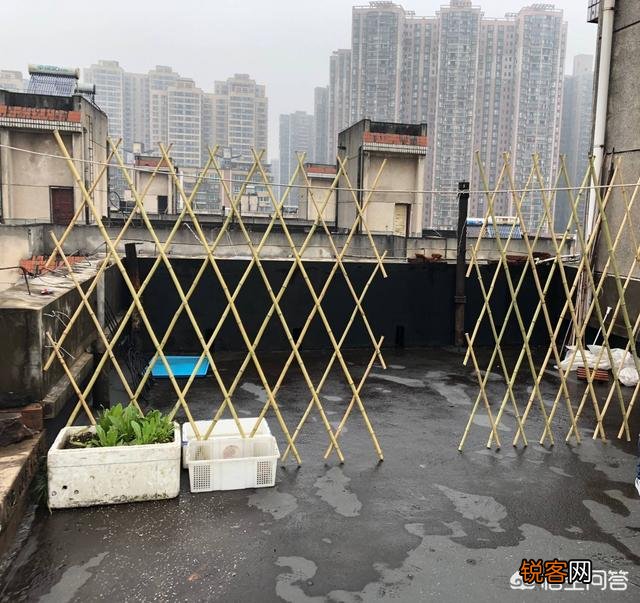 怎么利用没有封闭的阳台种蔬菜？