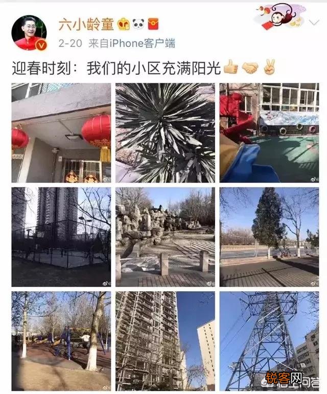 86版西游记的师徒四人现在境况是怎样呢？