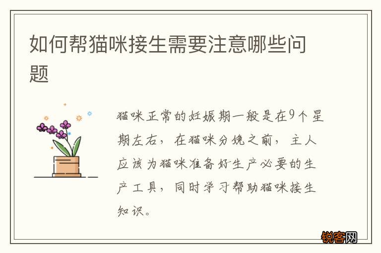 如何帮猫咪接生需要注意哪些问题