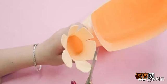 洗衣液桶怎样做花盆？