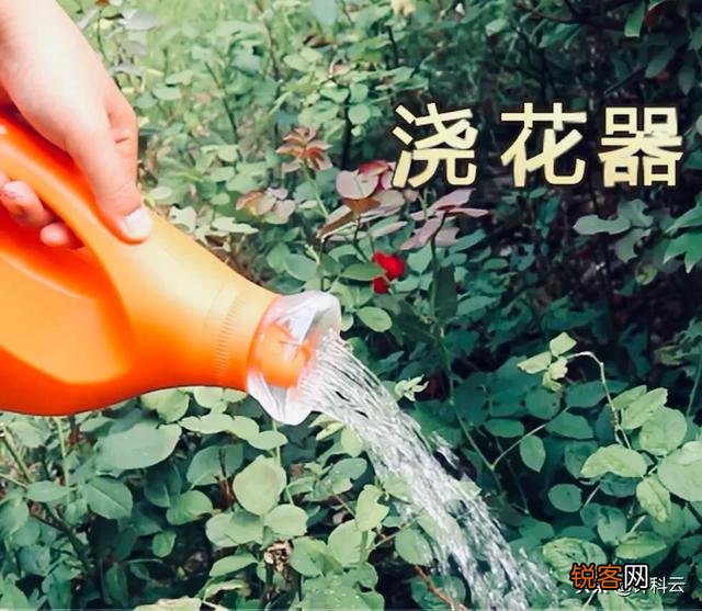 洗衣液桶怎样做花盆？