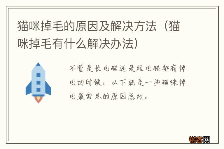 猫咪掉毛有什么解决办法 猫咪掉毛的原因及解决方法