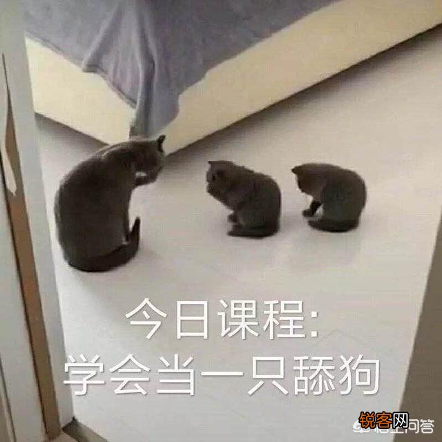 《影子武士2》声称玩家在亲人墓碑贴游戏海报,官方会支付部分葬礼费用,你怎么看？