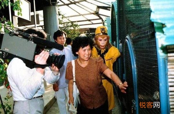 西游记导演杨洁和六小龄童有什么矛盾？