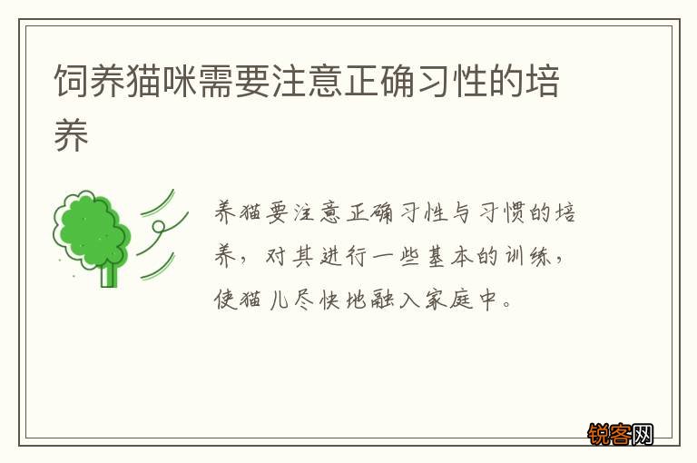 饲养猫咪需要注意正确习性的培养