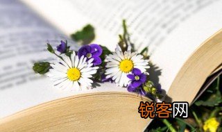 眼中钉的意思 眼中钉的解释