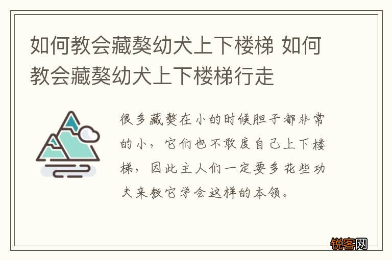 如何教会藏獒幼犬上下楼梯 如何教会藏獒幼犬上下楼梯行走
