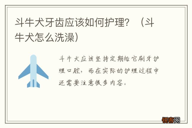 斗牛犬怎么洗澡 斗牛犬牙齿应该如何护理？