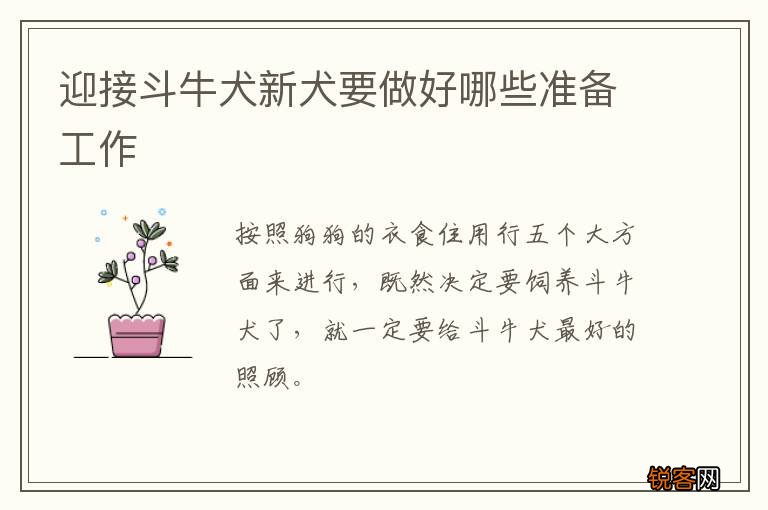 迎接斗牛犬新犬要做好哪些准备工作