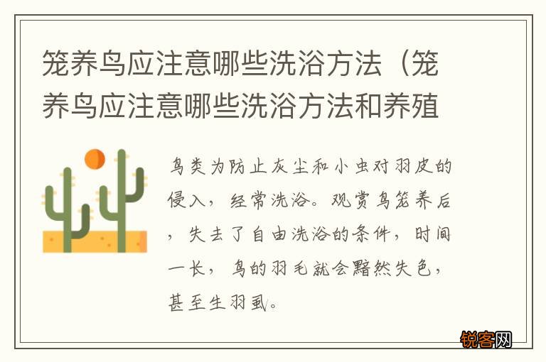 笼养鸟应注意哪些洗浴方法和养殖 笼养鸟应注意哪些洗浴方法