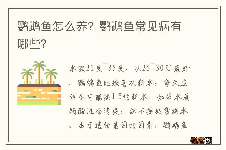 鹦鹉鱼怎么养？鹦鹉鱼常见病有哪些？