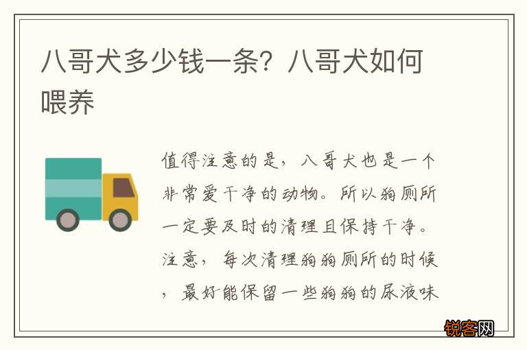 八哥犬多少钱一条？八哥犬如何喂养