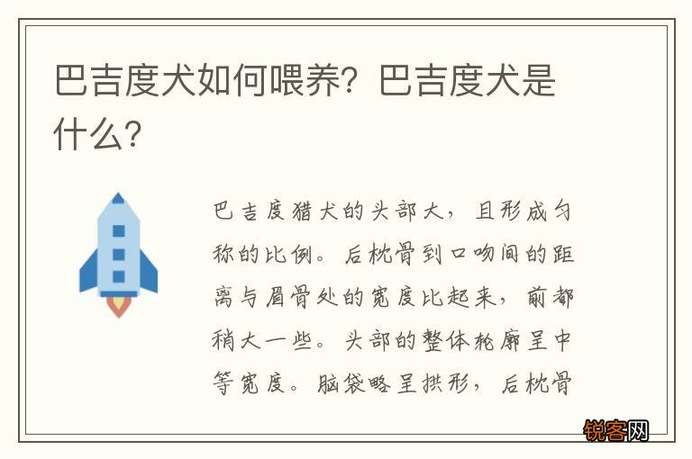 巴吉度犬如何喂养？巴吉度犬是什么？