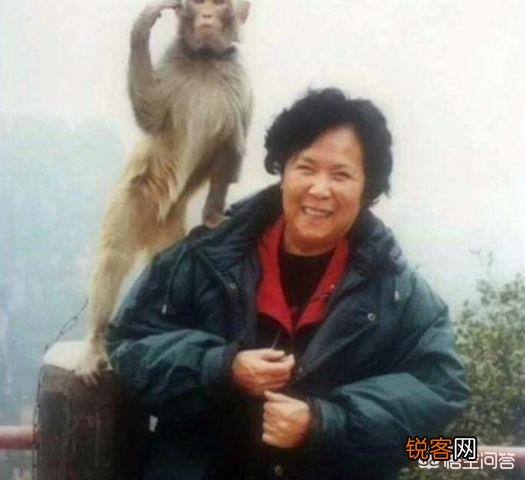 六小龄童怎么了？为什么会出现“六小龄童体”？