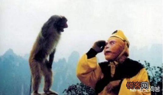六小龄童怎么了？为什么会出现“六小龄童体”？