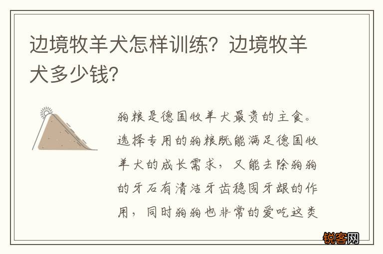 边境牧羊犬怎样训练？边境牧羊犬多少钱？