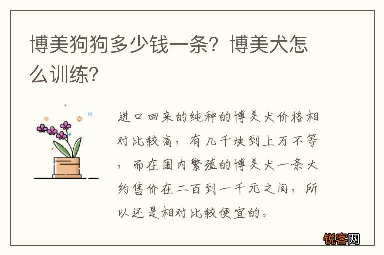 博美狗狗多少钱一条？博美犬怎么训练？