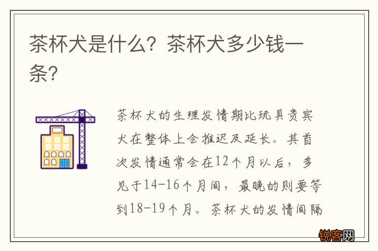 茶杯犬是什么？茶杯犬多少钱一条？