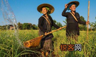小农经济的特点 小农经济的特点是啥